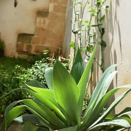 Loft 'le Vie Del Centro' 3*